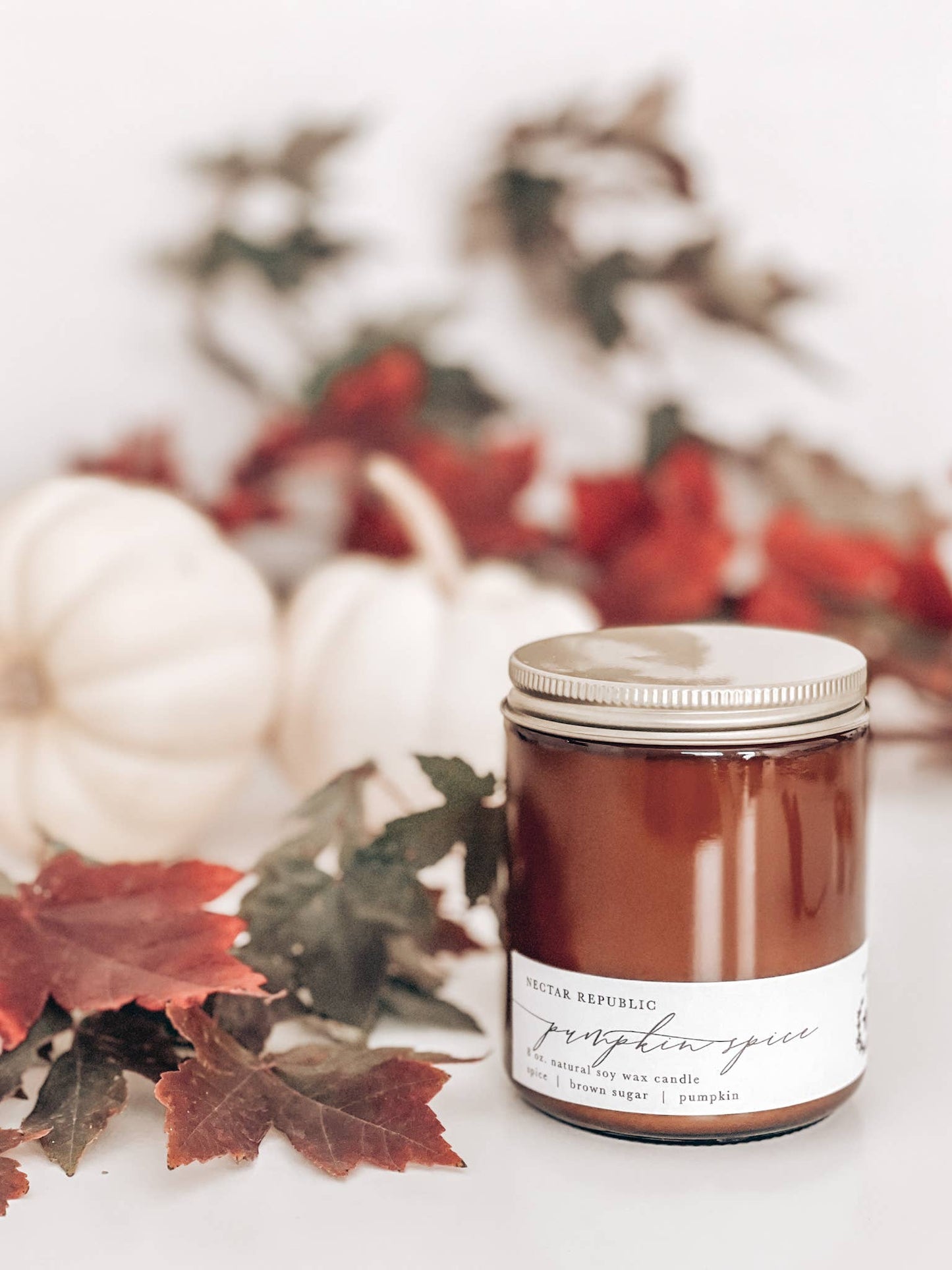 Pumpkin Spice : Jar Soy Candle