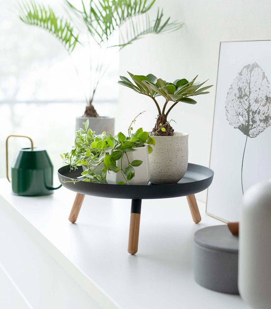 Countertop Pedestal Tray - Steel + Wood: Black