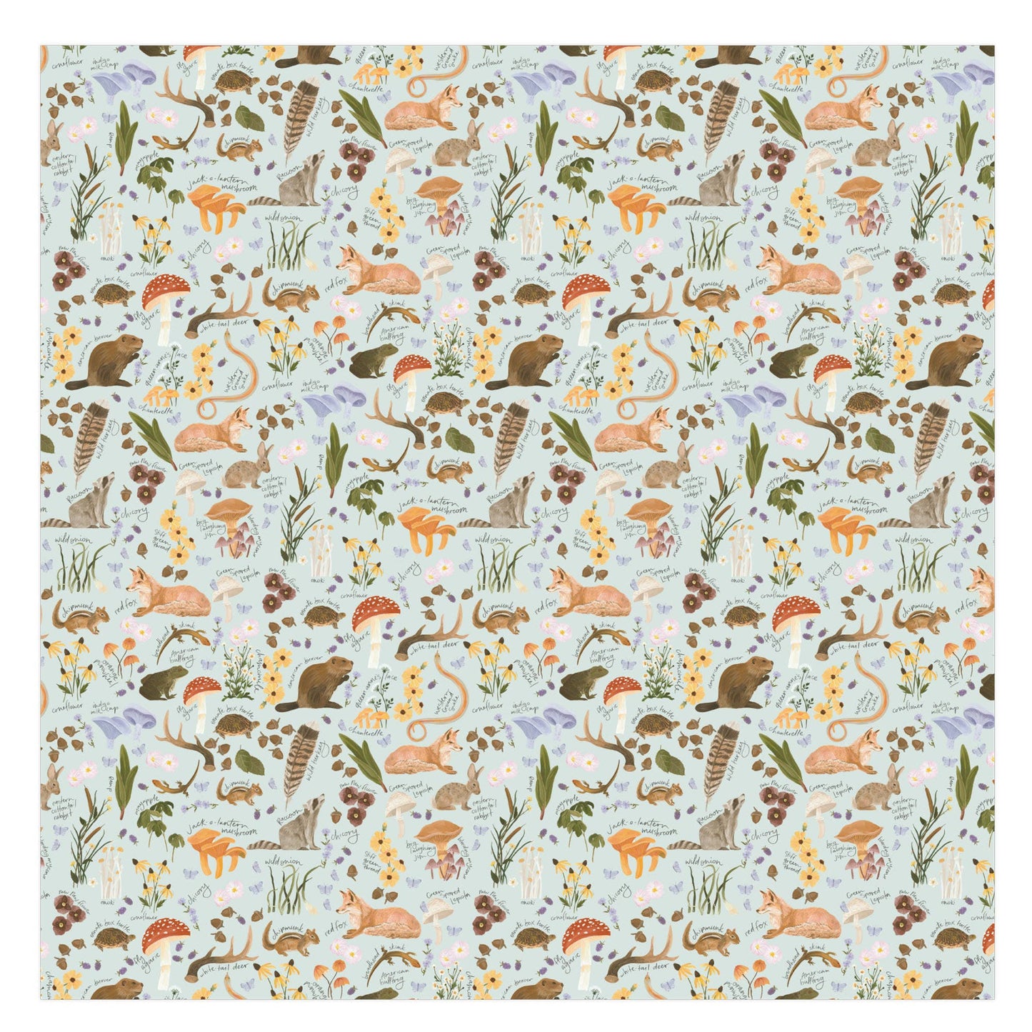 Flora & Fauna Baby Swaddle