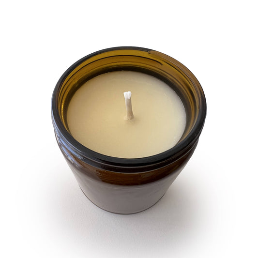 Expert Dog Petter - Soy Candle 9oz