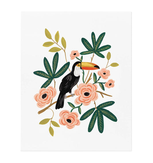 Toucan Art Print